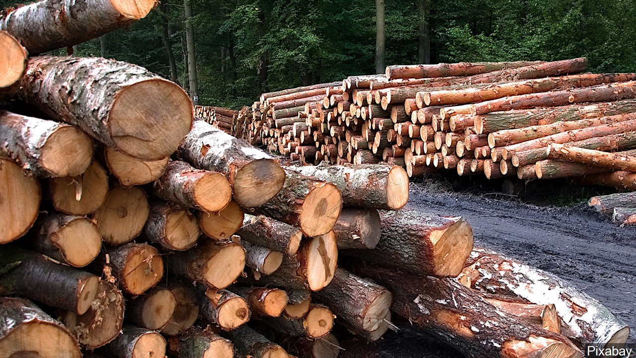 46-Year-Old Dies In Chautauqua County Logging Accident