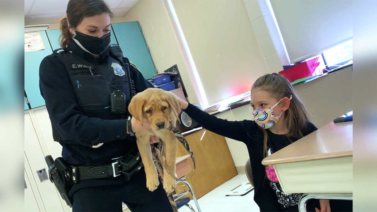 Police Comfort Dog Visits Students, Gains Experience Working With Children