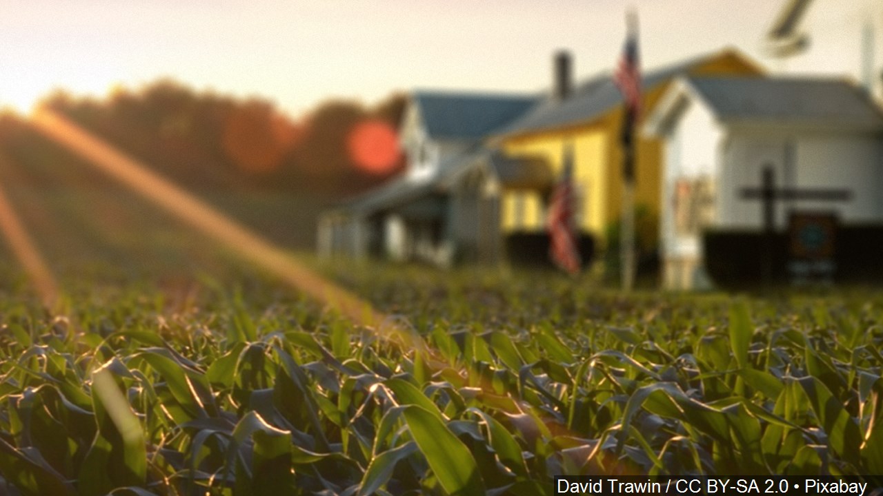 Senator Borrello’s Bill To Stop Farm Overtime Hike Fails