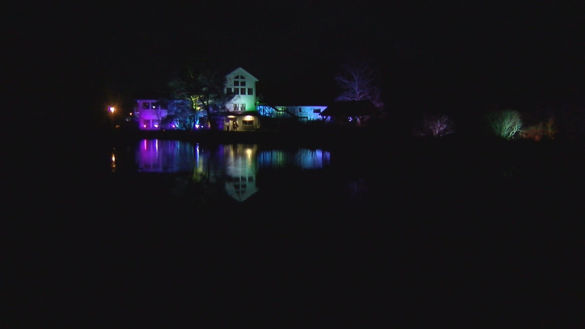 Vibrant Light Display Opening At The Audubon Community Nature Center