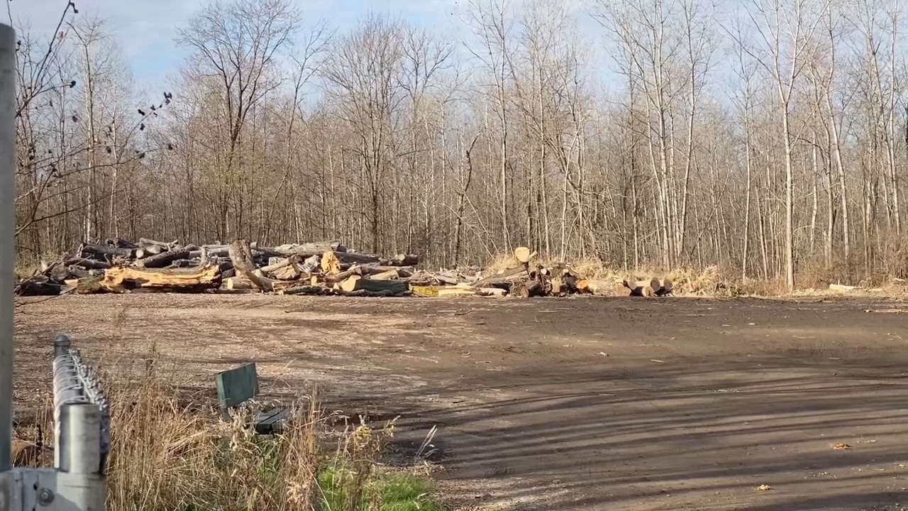 Board Of Public Utilities Yard Waste Site Opens Saturday WNY News Now