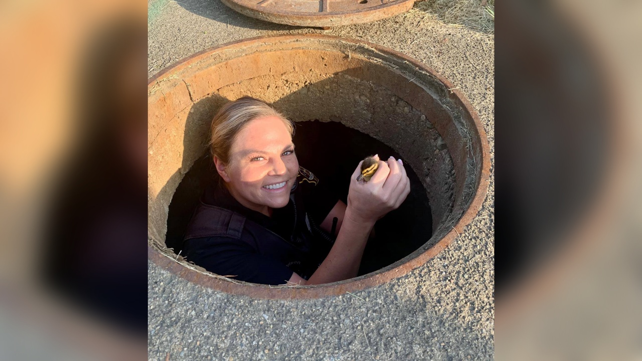 Jamestown Police Officer Receives Praise For Baby Duckling Rescue