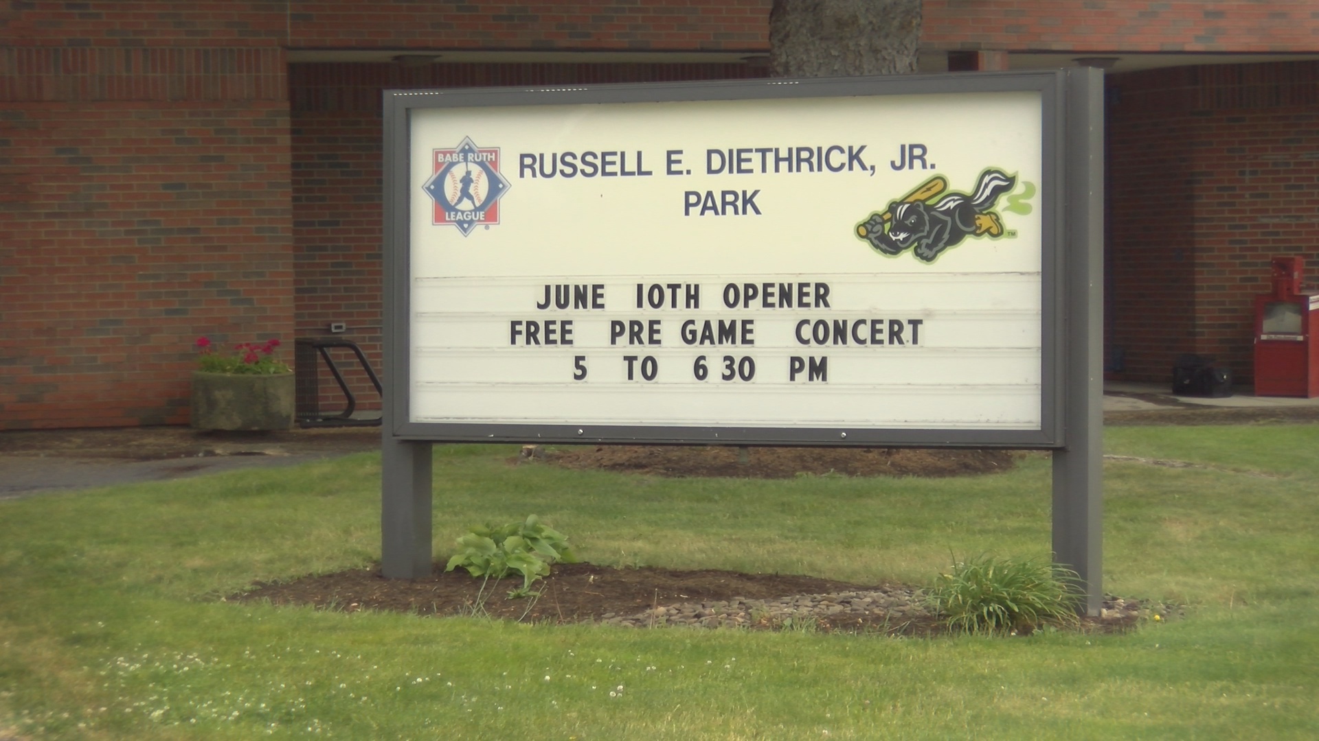Tarp Skunks Strike Out Cancer