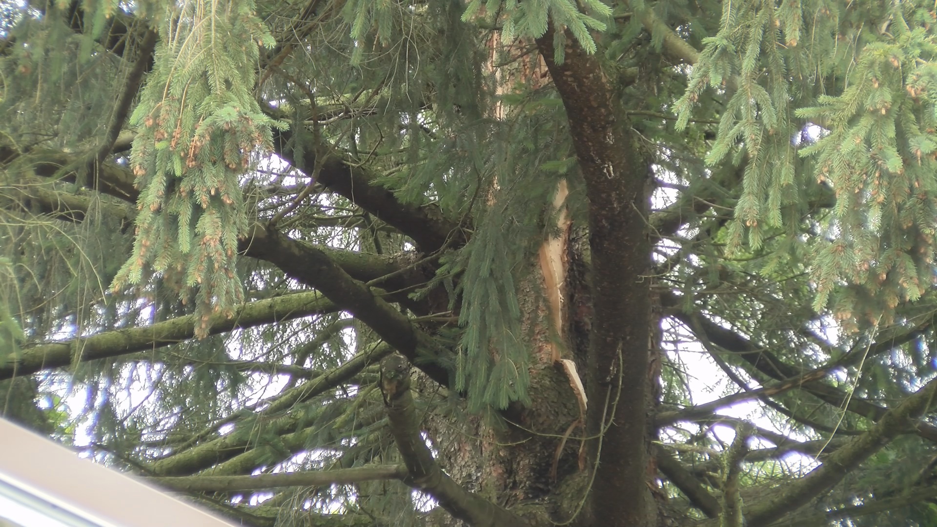 Woman Grateful To Be Unharmed After Close Call With Lightning Strike