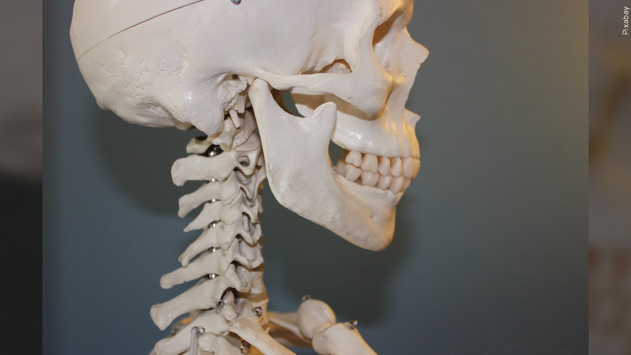 Just 7% Of Our DNA Is Unique To Modern Humans, Study Shows