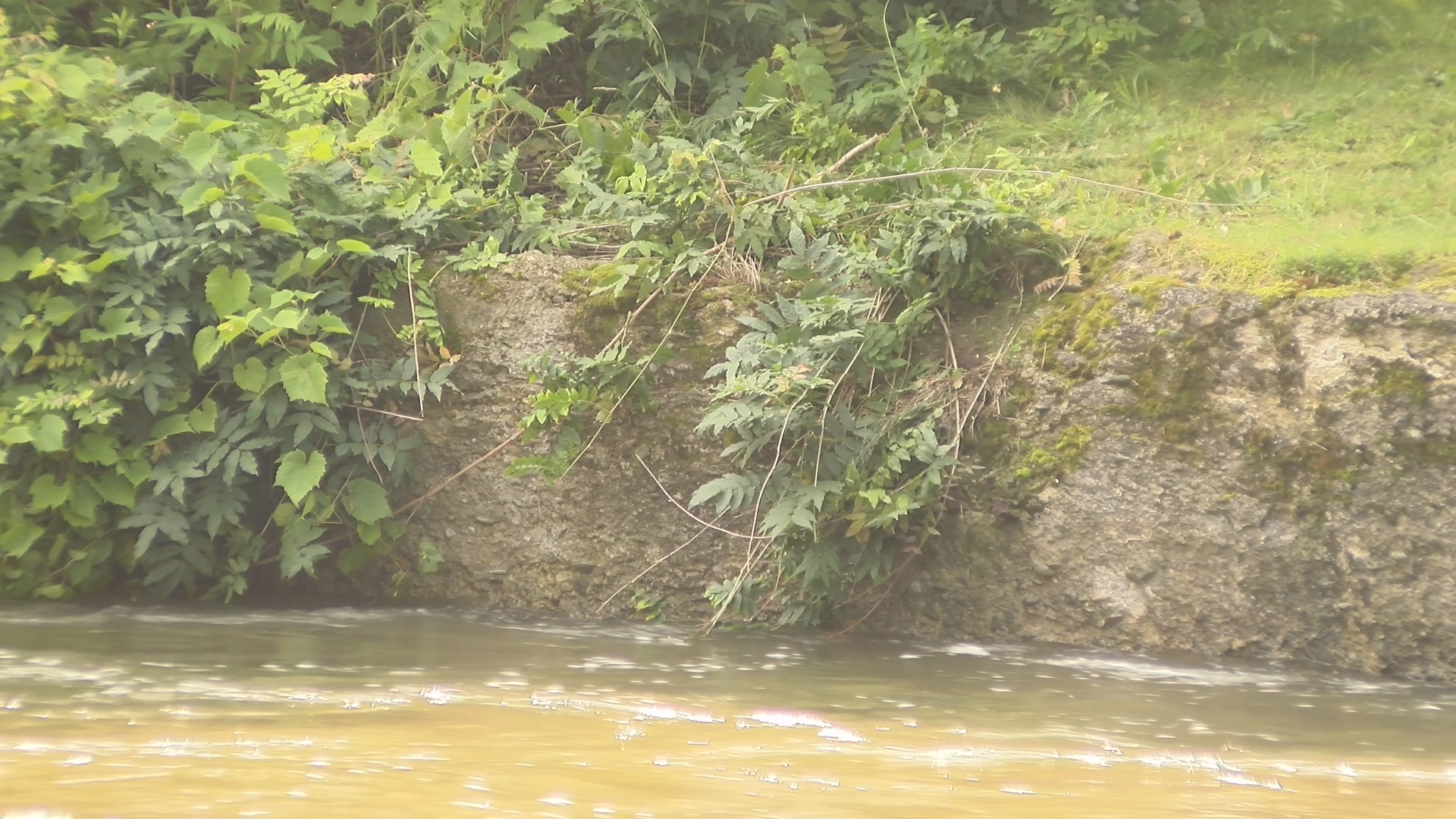 Trio Rescues Man From Chadakoin River