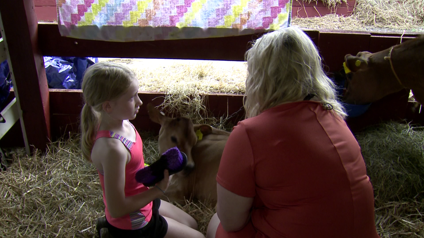 Competing For A Blue Ribbon At The Warren County Fair