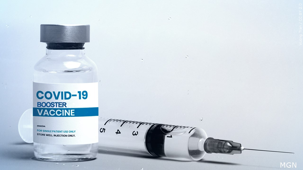 FDA Experts Among Group Opposing US Booster Shot Plan