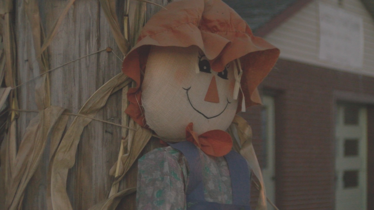 Bemus Point Fall Festival Kicks Off Friday, Continues All Weekend WNY