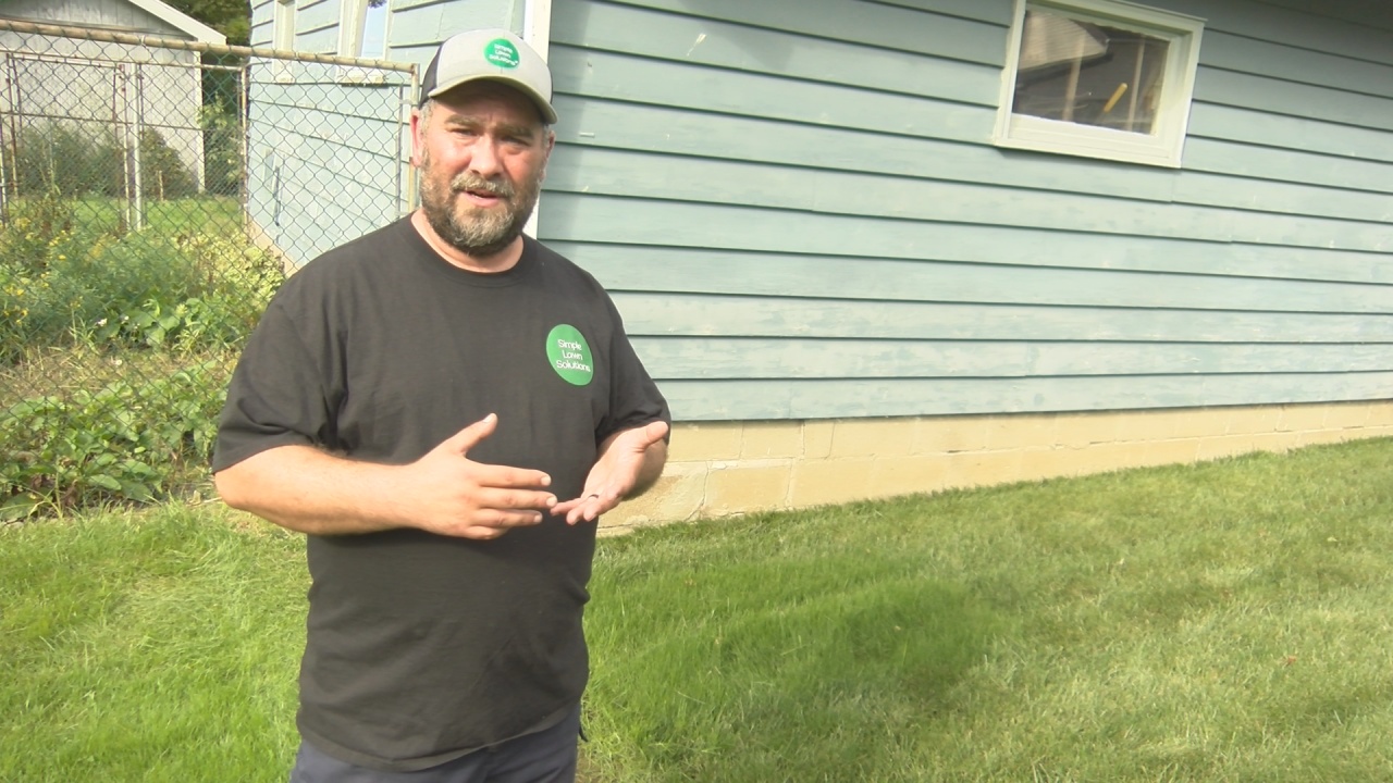 Local Lawn Enthusiast Takes His Passion Online