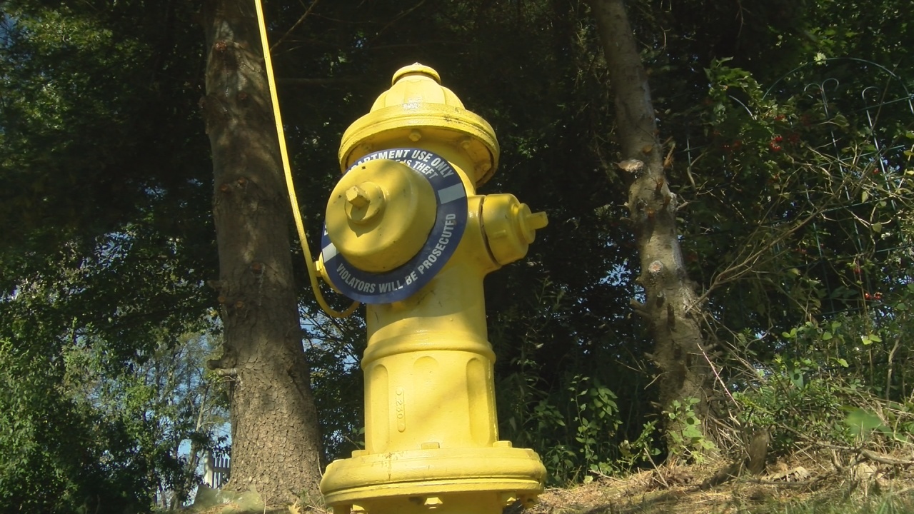 Fall Flushing Gets Underway In Falconer