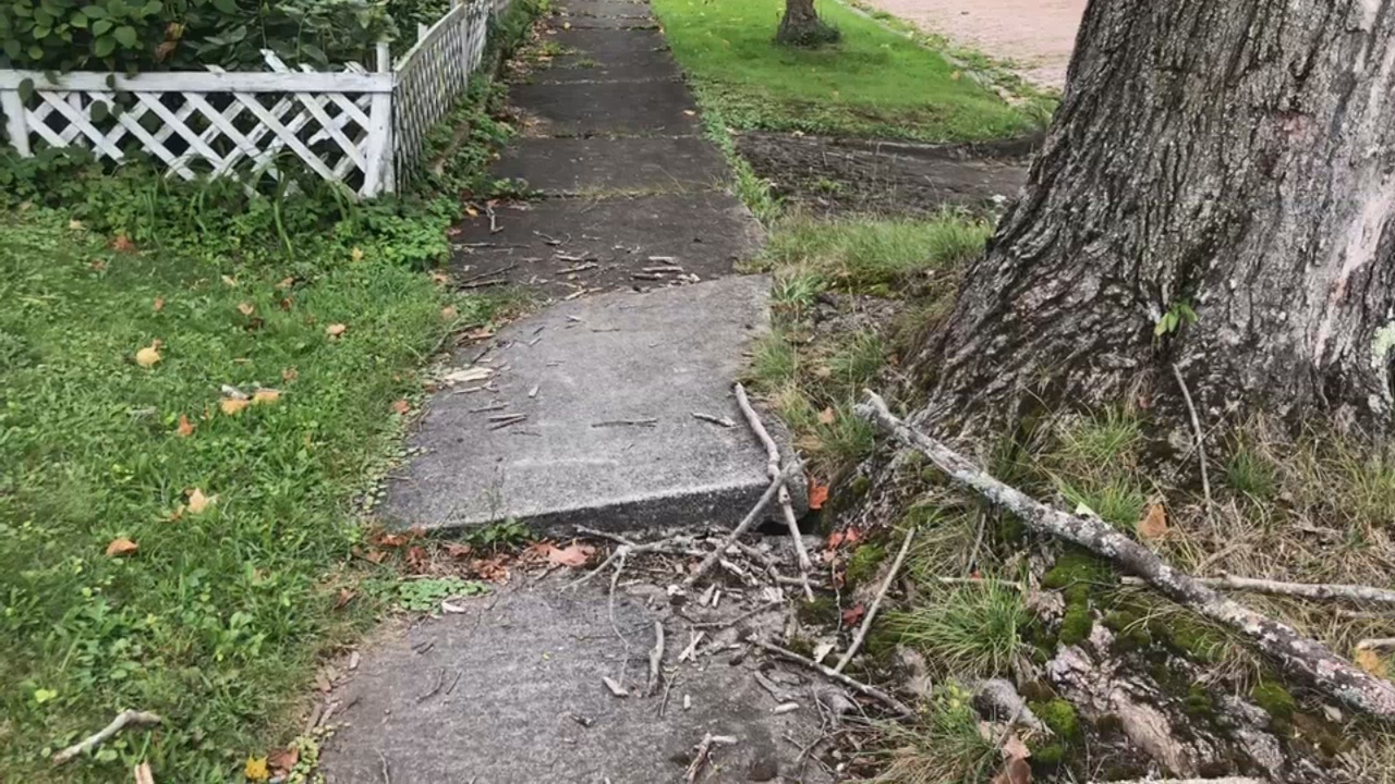 City Council At-Large Candidate Calls For Better Sidewalk Upkeep