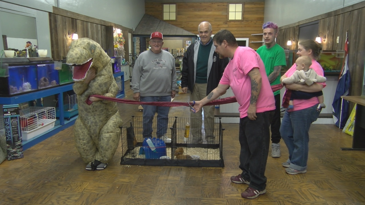 New Pet Store Opens In Randolph WNY News Now