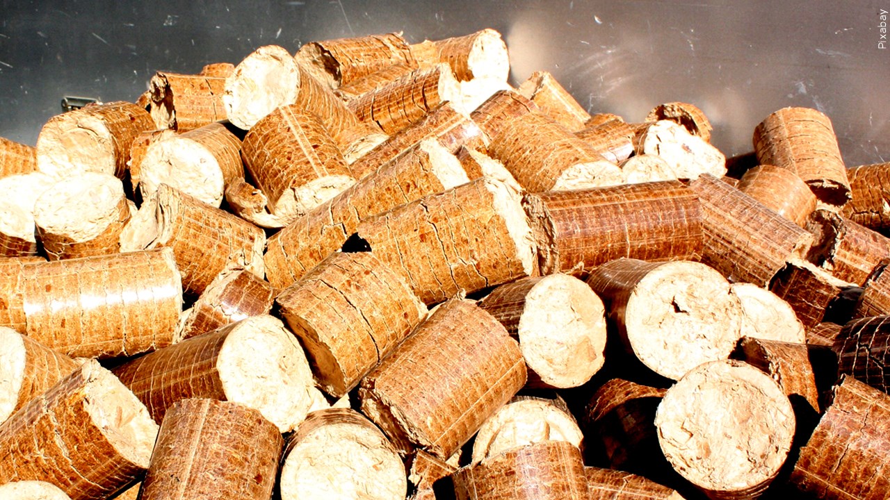 Firewood Prices Soar As Winter Approaches
