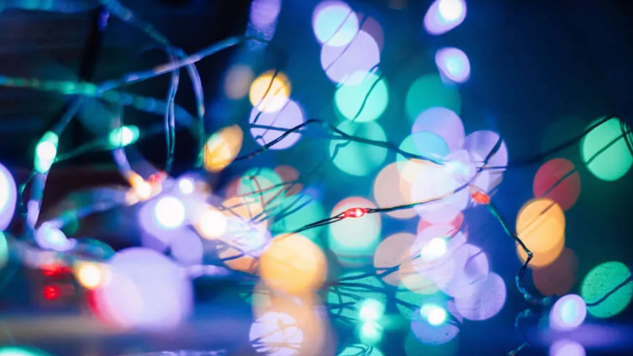 Holiday Lights To Return To Presque Isle This Year