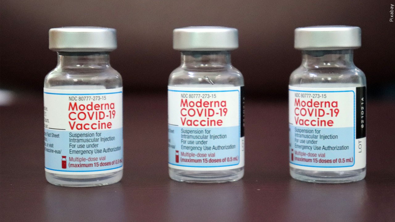 New York’s Flawed COVID-19 Report Underscores Urgent Need for Independent Review