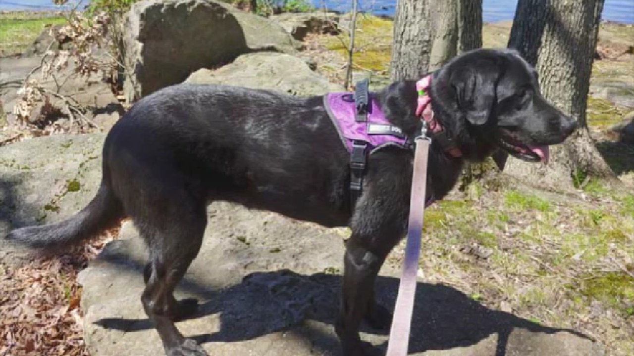 Petco Love Stories Awards The Chautauqua County Humane Society $5,000 Grant