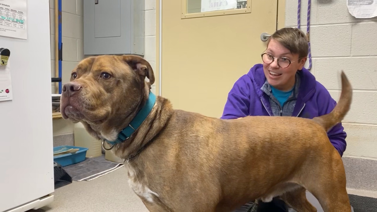 Meet Taco! Our Pet of the Week