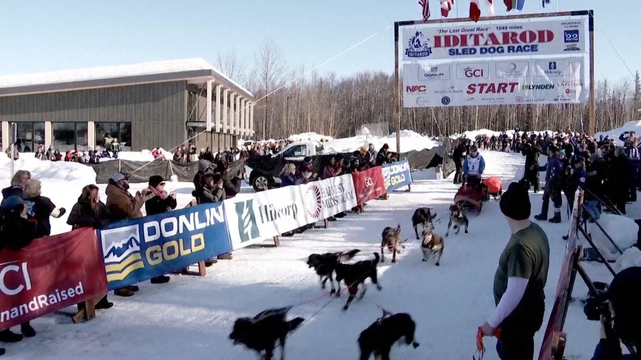 Western New Yorker Crossing The Alaska Iditarod Off His Bucket List