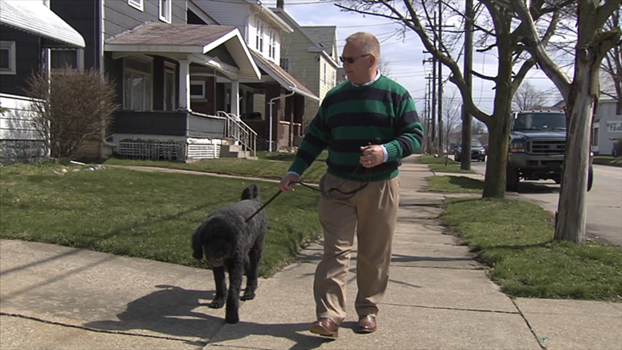 PA State Rep. Hit By Pellets While Walking Dog