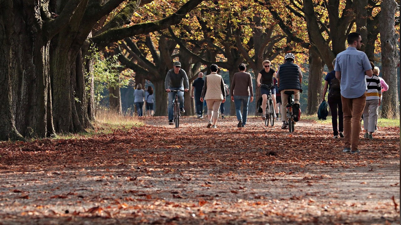 Community Walk In Jamestown Postponed Due To Weather