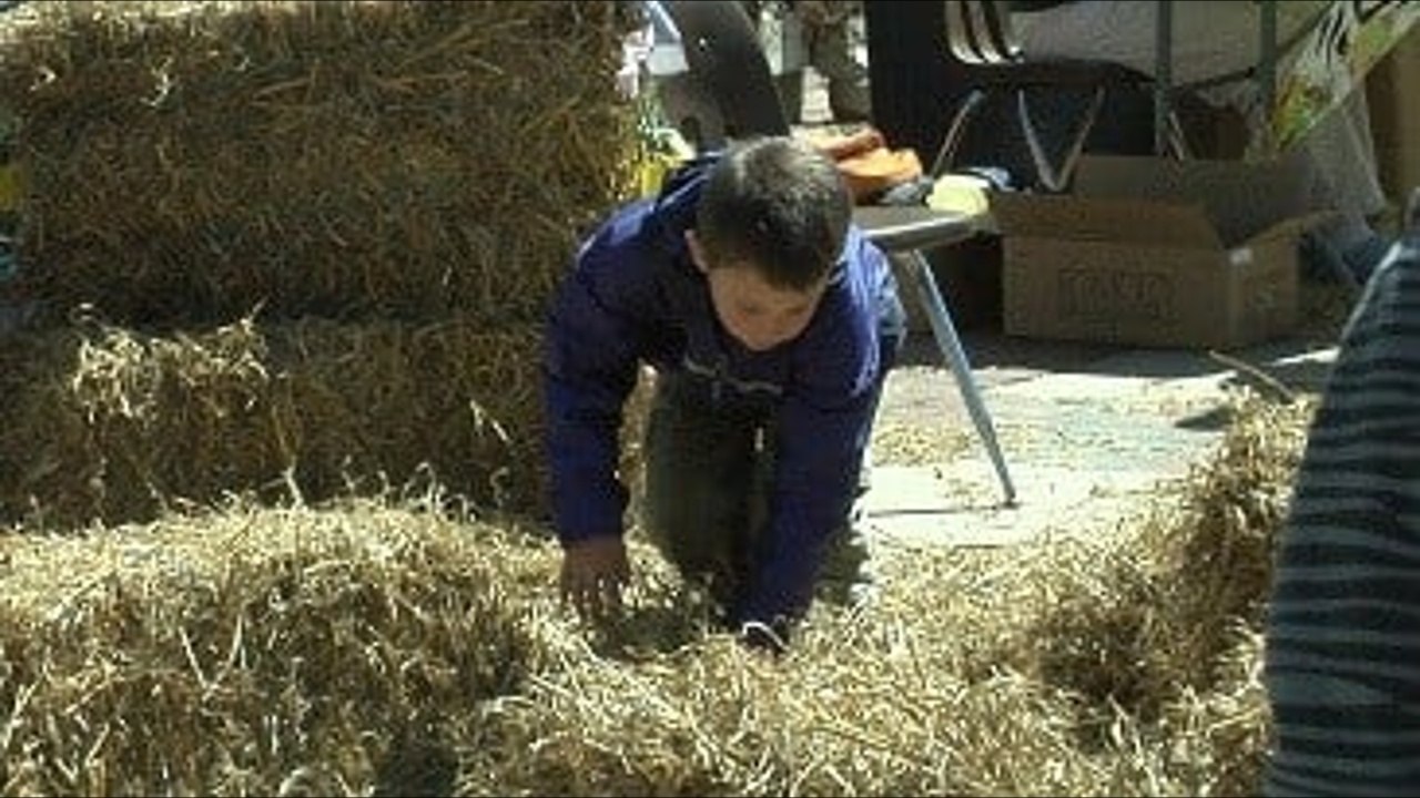 Erie Zoo To Host Annual Spring EggVenture Egg Hunt WNY News Now