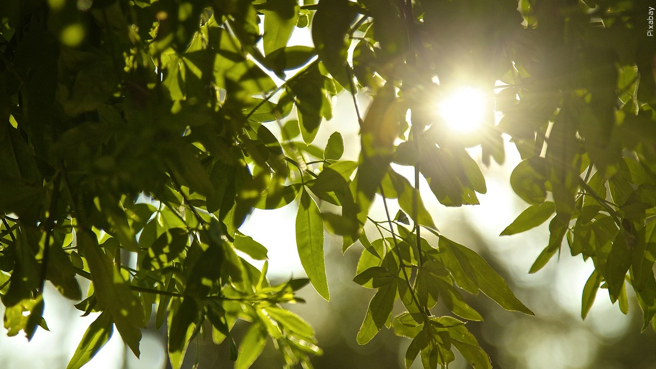 The Changing Forecast Is Affecting People’s Behavior