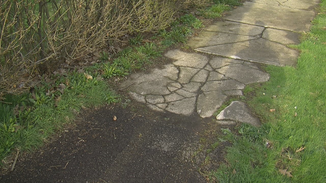 Dilapidated Sidewalks Among Top Conversations During Westside Tour