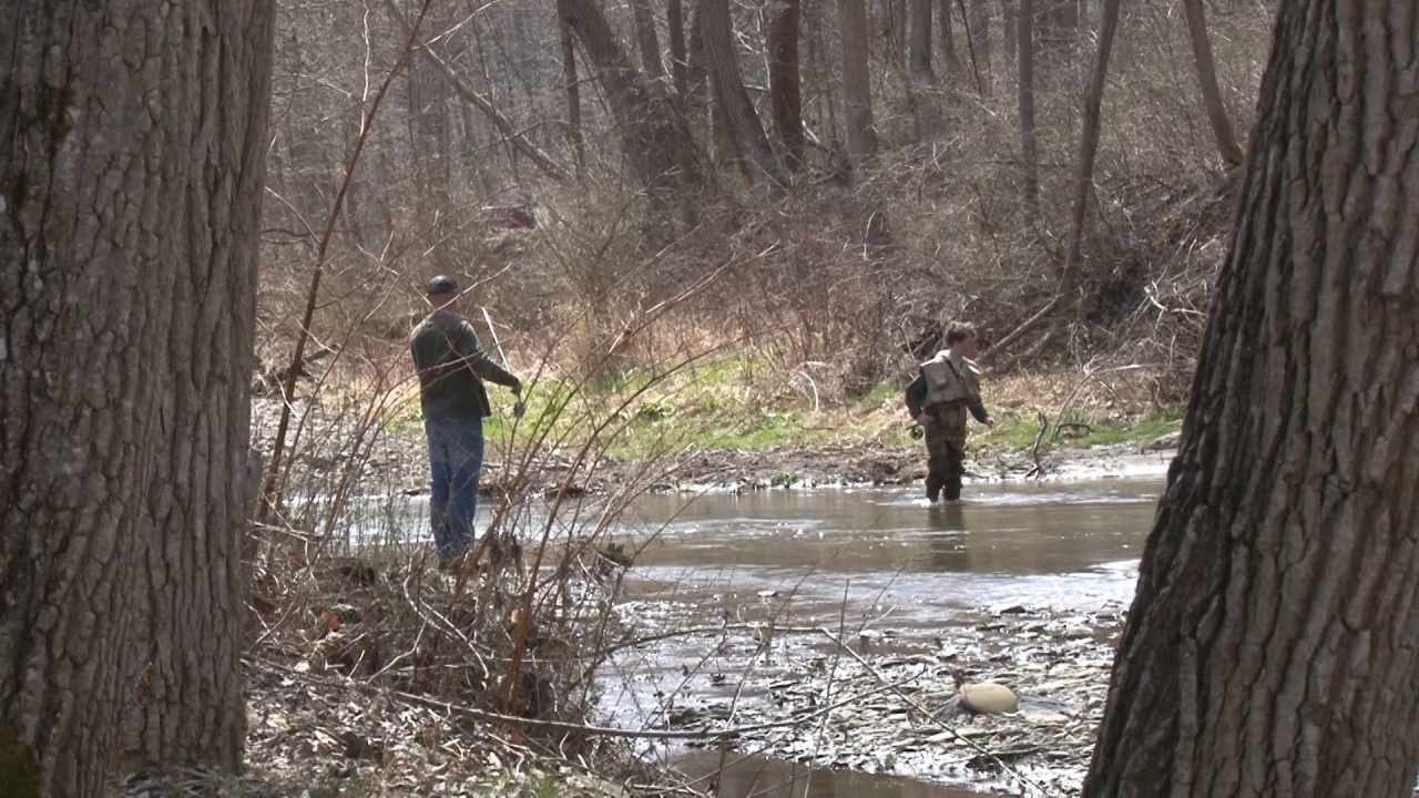 Protecting Wildlife: New York Adds 8,000 Acres to State Wildlife Management Areas
