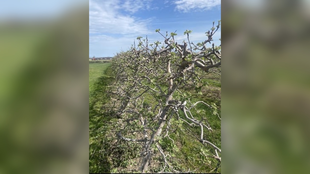 The Uncertainty Of Spring Weather For Farmers