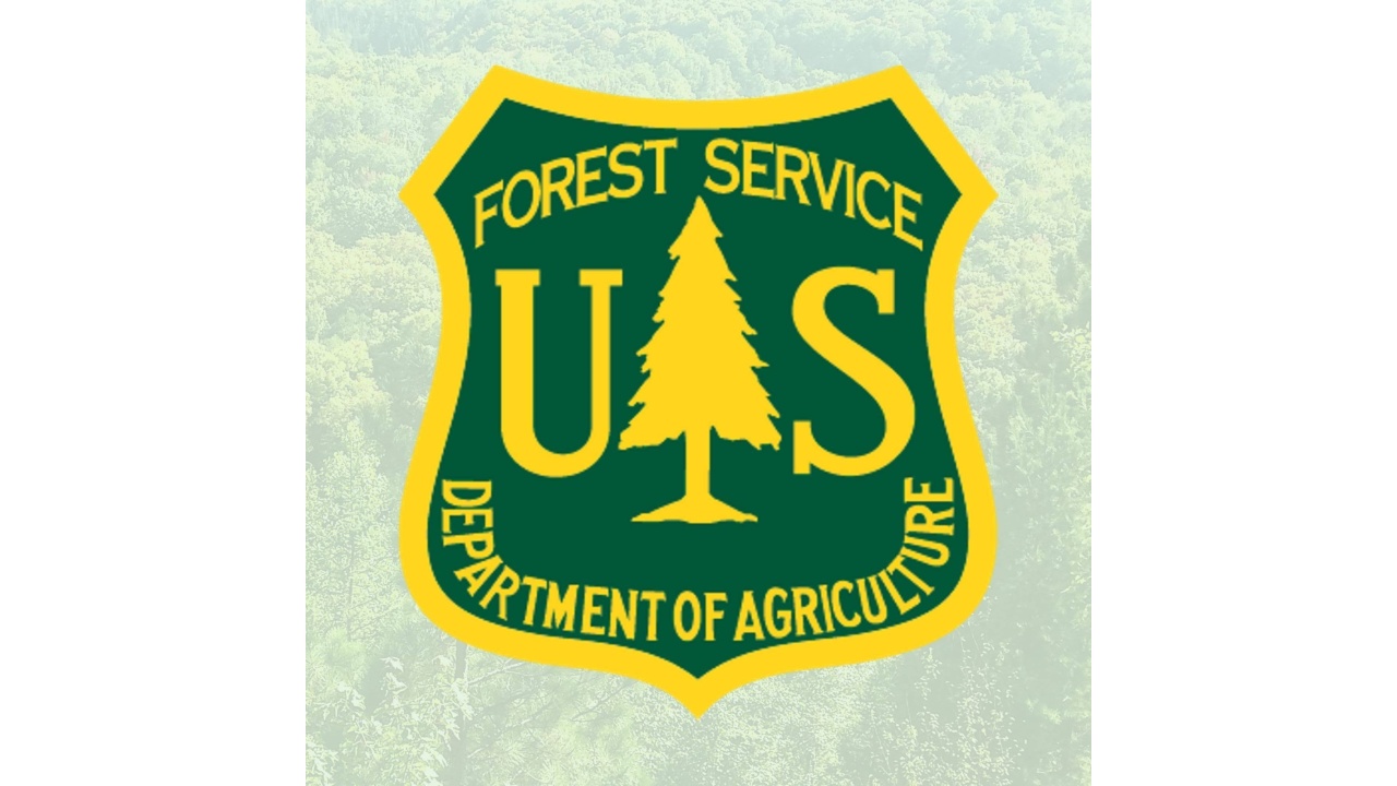 Prescribed Burns Happening This Weekend On Allegheny National Forest
