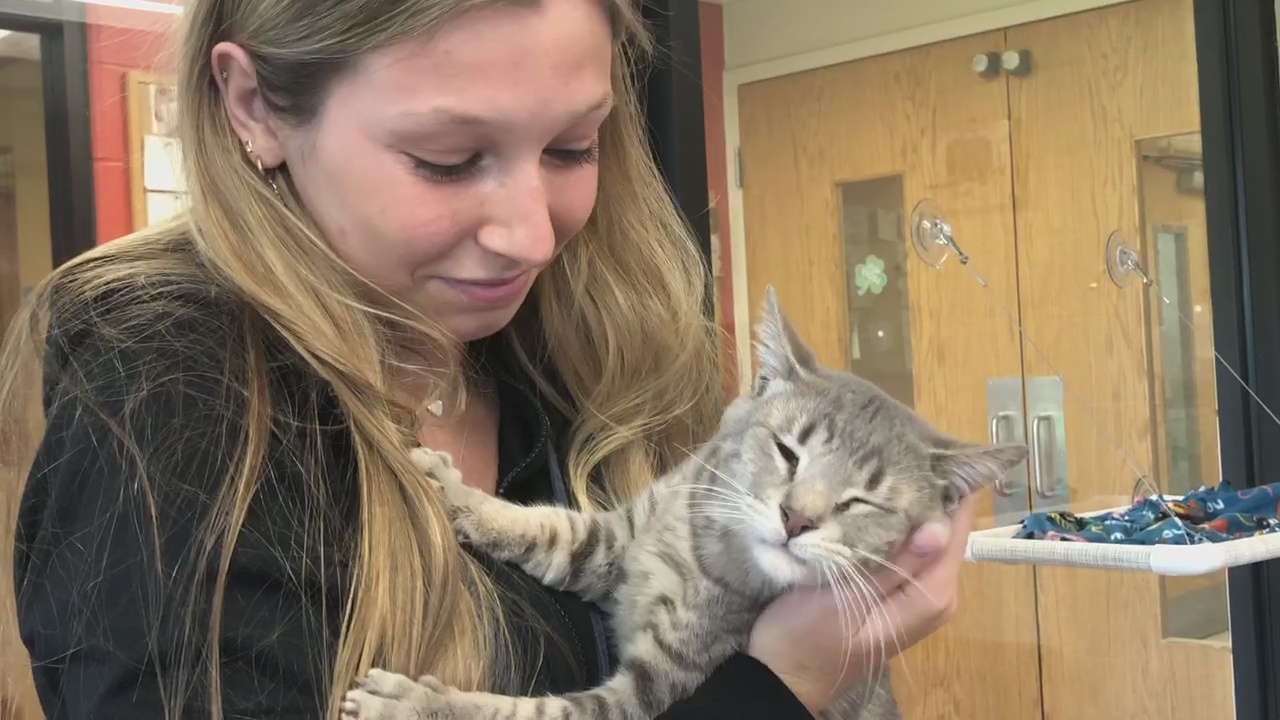 Frewsburg Honor Students Host First-Ever Pet-A-Thon At Humane Society