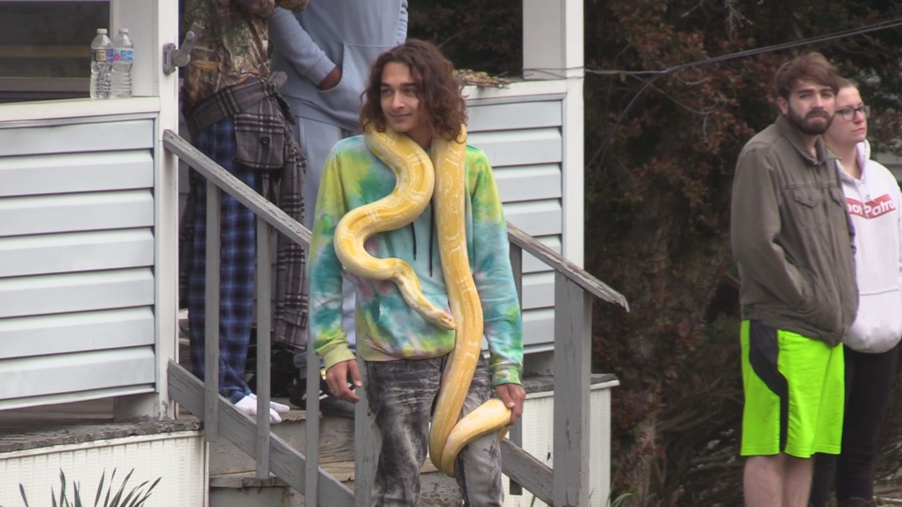 Several Large Snakes Among Pets Rescued From Jamestown House Fire WNY News Now