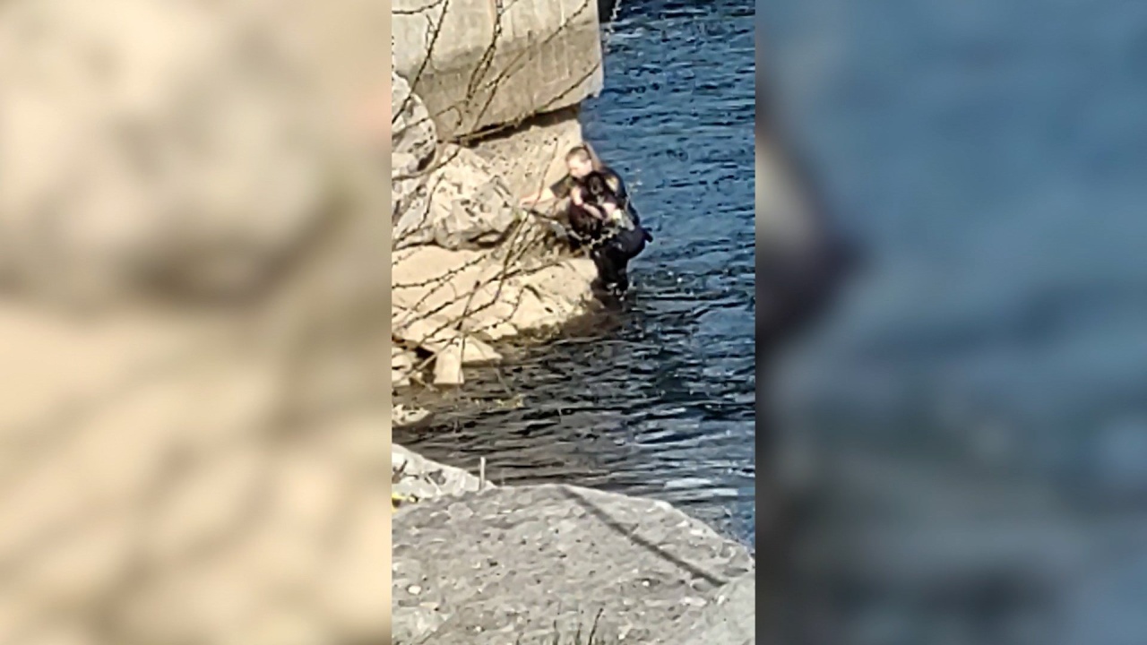 Jamestown Police Officer Rescues Dog from Water – WNY News Now