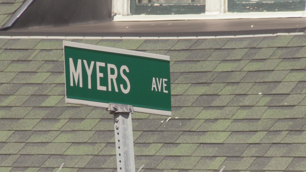 Dog Petition Makes It To City Hall