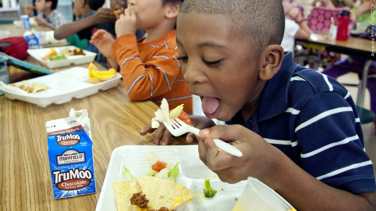 Push Underway To Return Whole Milk To New York Schools