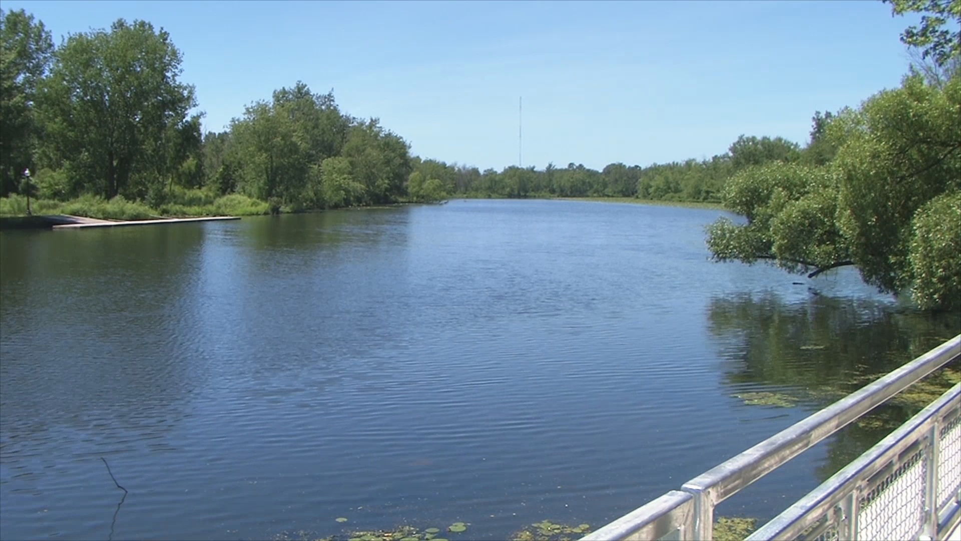 Chadakoin River Invasive Species Cleanup Project Approved