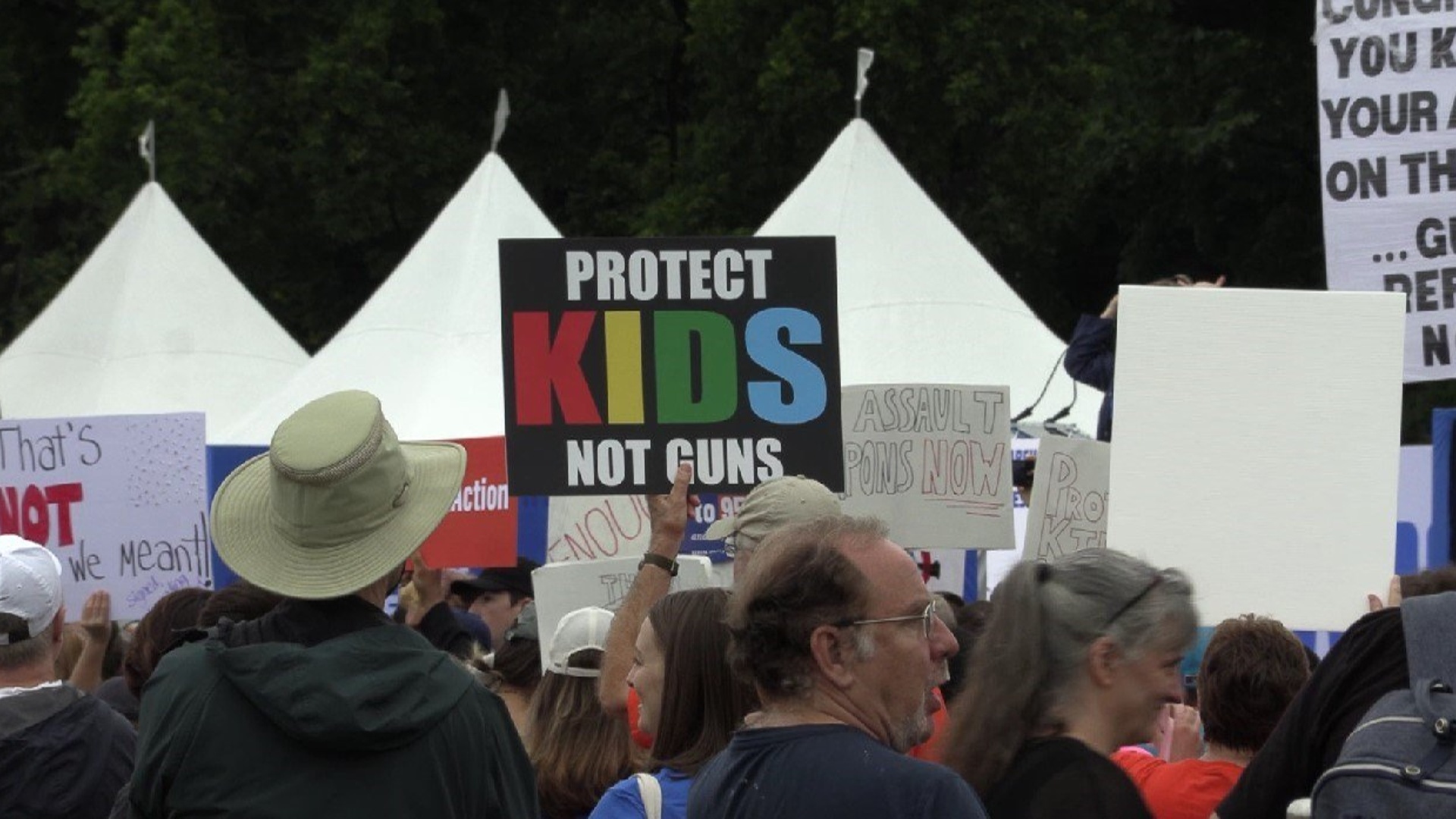 Congressional Members, Activists Hopeful Proposed Gun Legislation Will Pass Congress