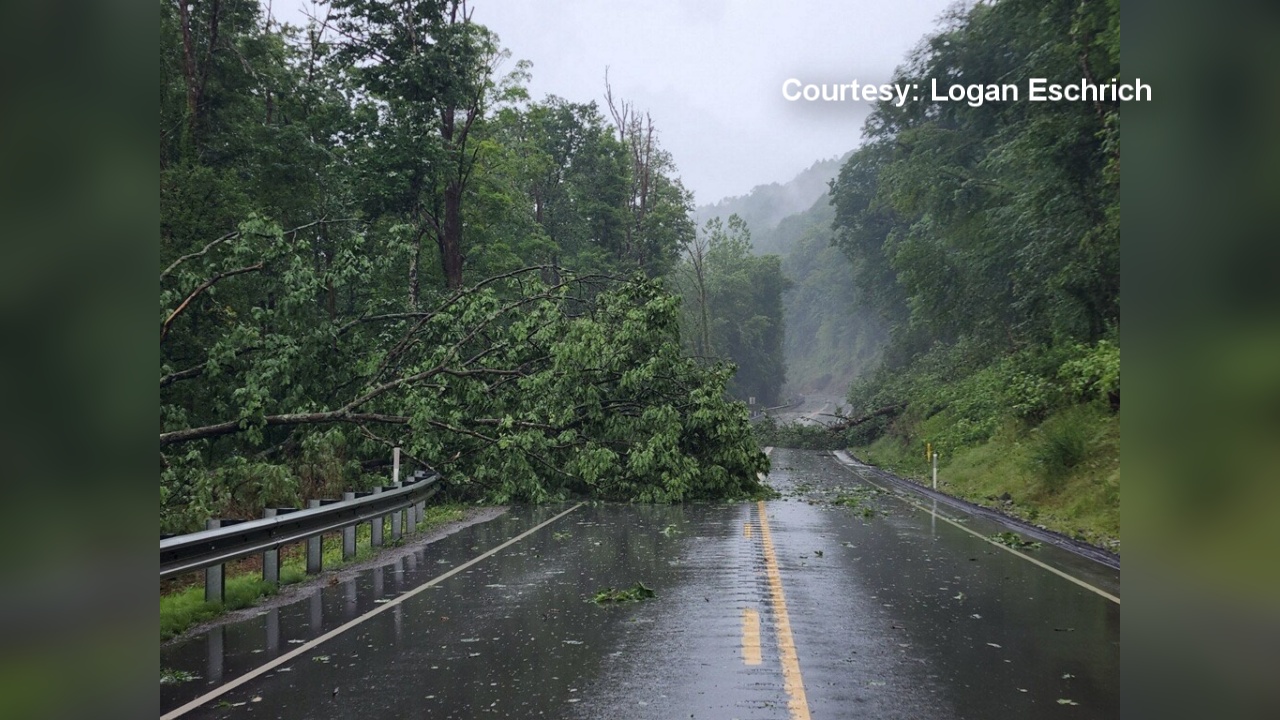 Storms Bring Down Trees, Wires Across Our Region