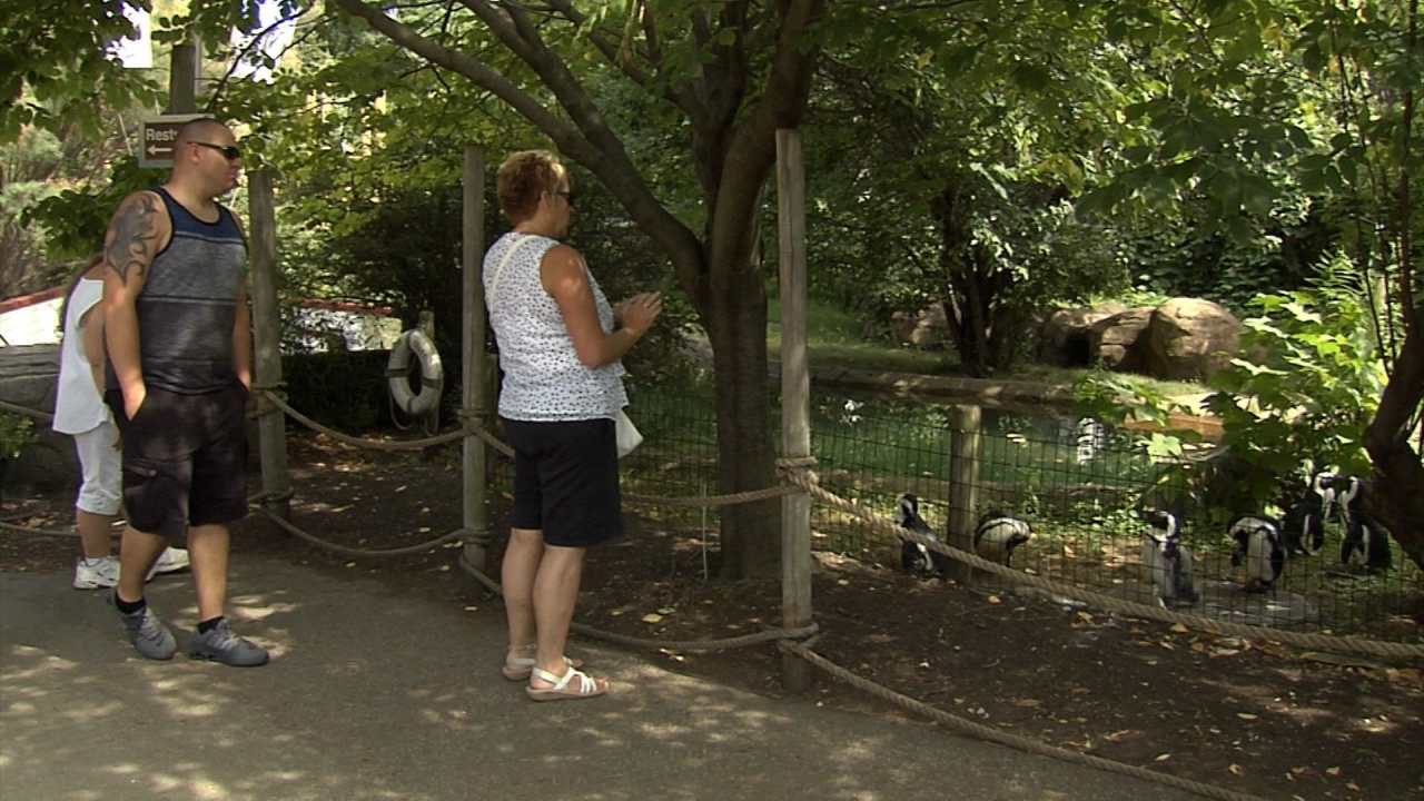 Study: Erie Zoo Generates Economic Impact Of $21.2M Per Year