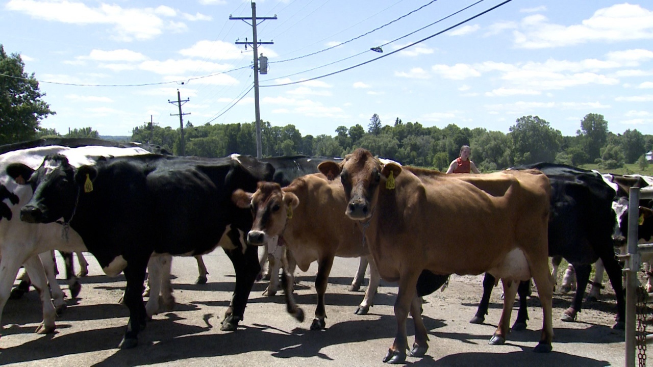 Inflation Hammers Local Farmers