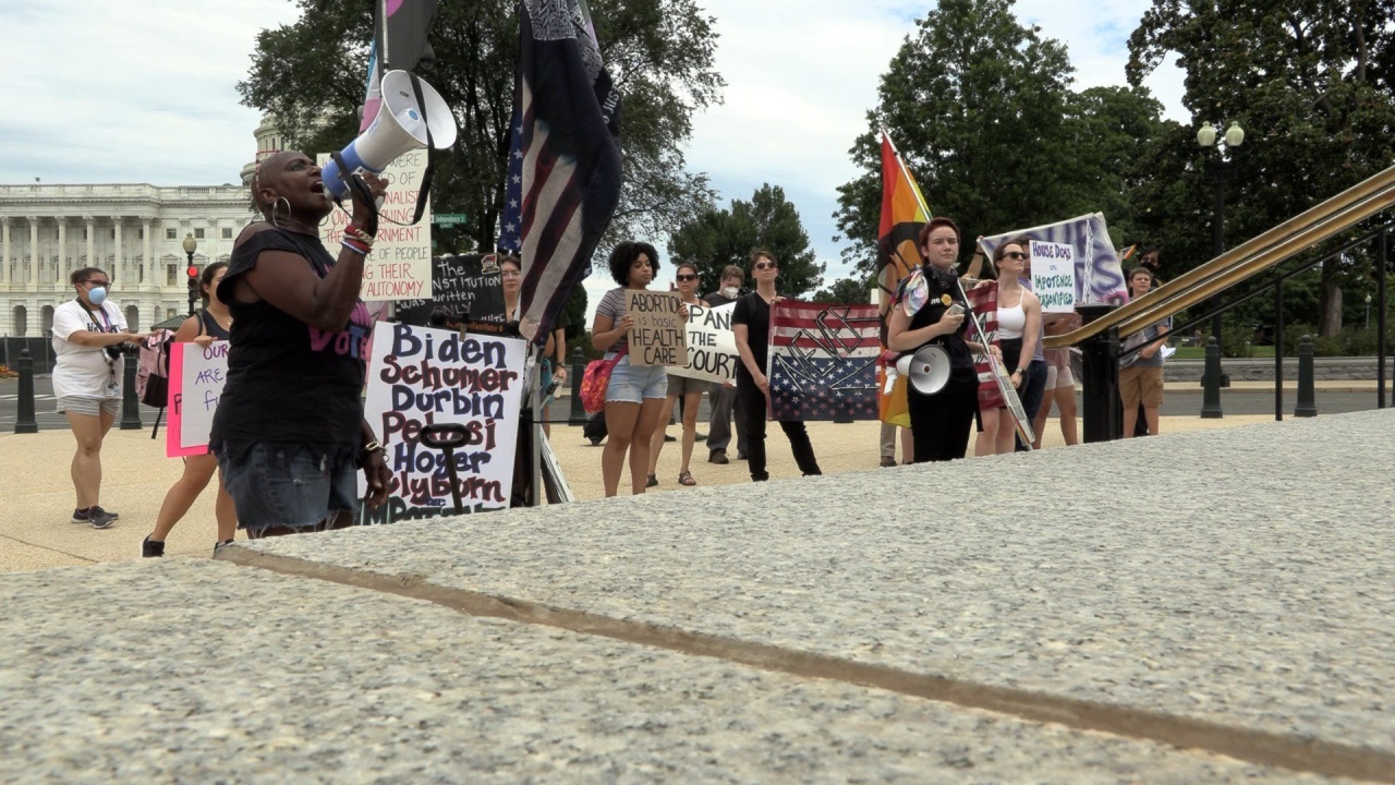 Pro-Choice Protesters Push Congress to Safeguard Abortion Rights
