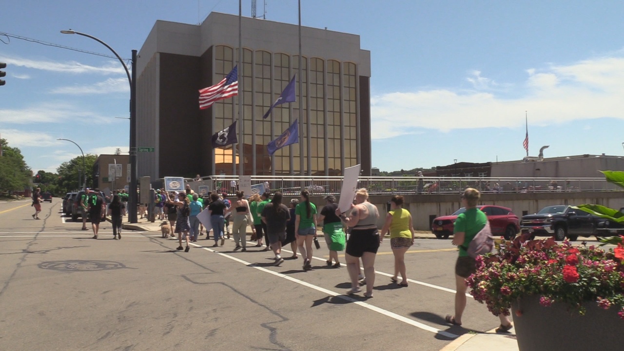 Reproductive Rights Rally Held In Jamestown, NY