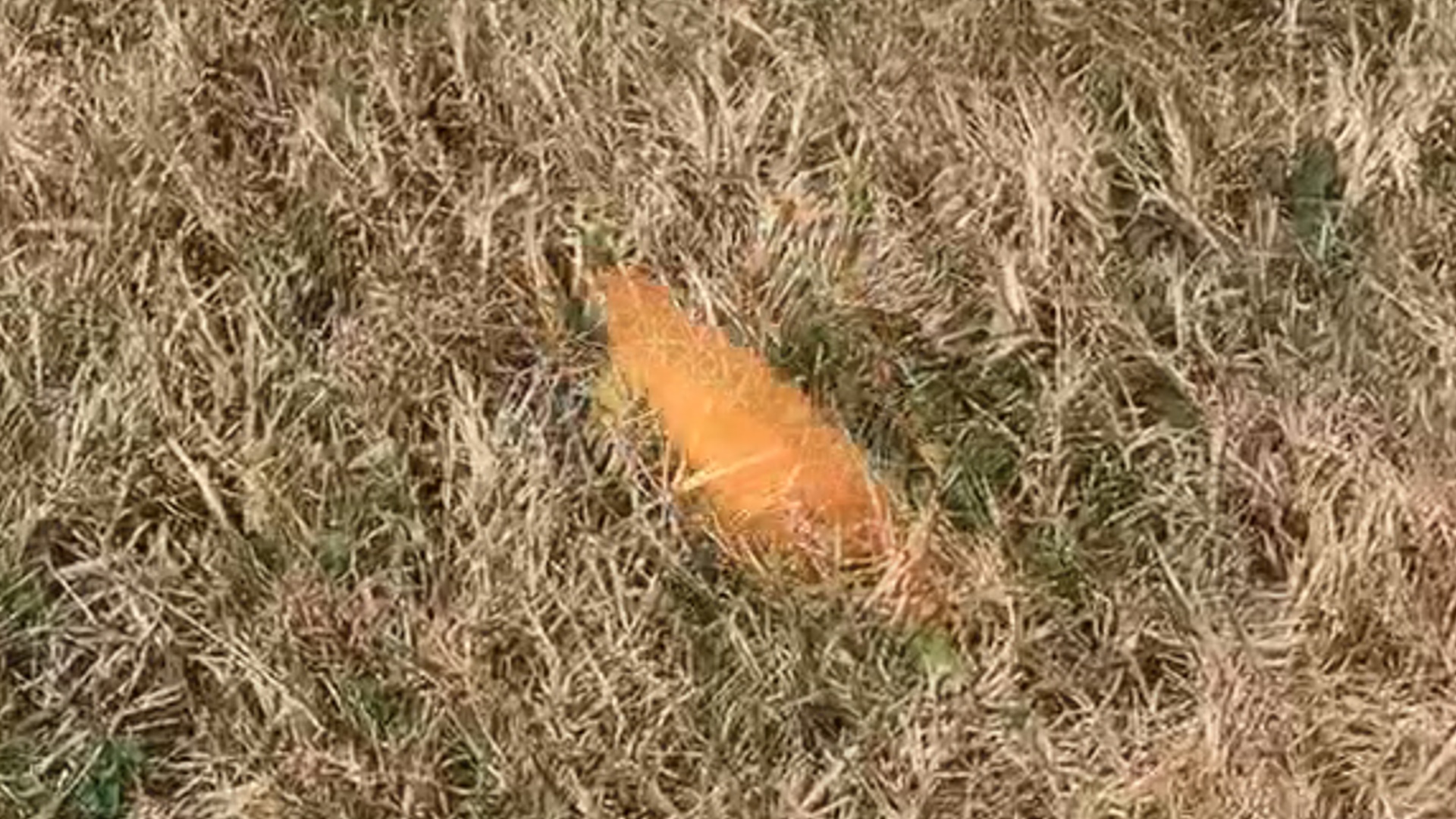 Brush, Wildfire Risks Increases With Hot, Dry Weather 