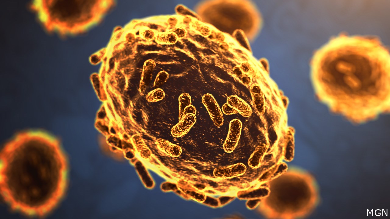 UN Health Agency Chief Declares Monkeypox A Global Emergency 