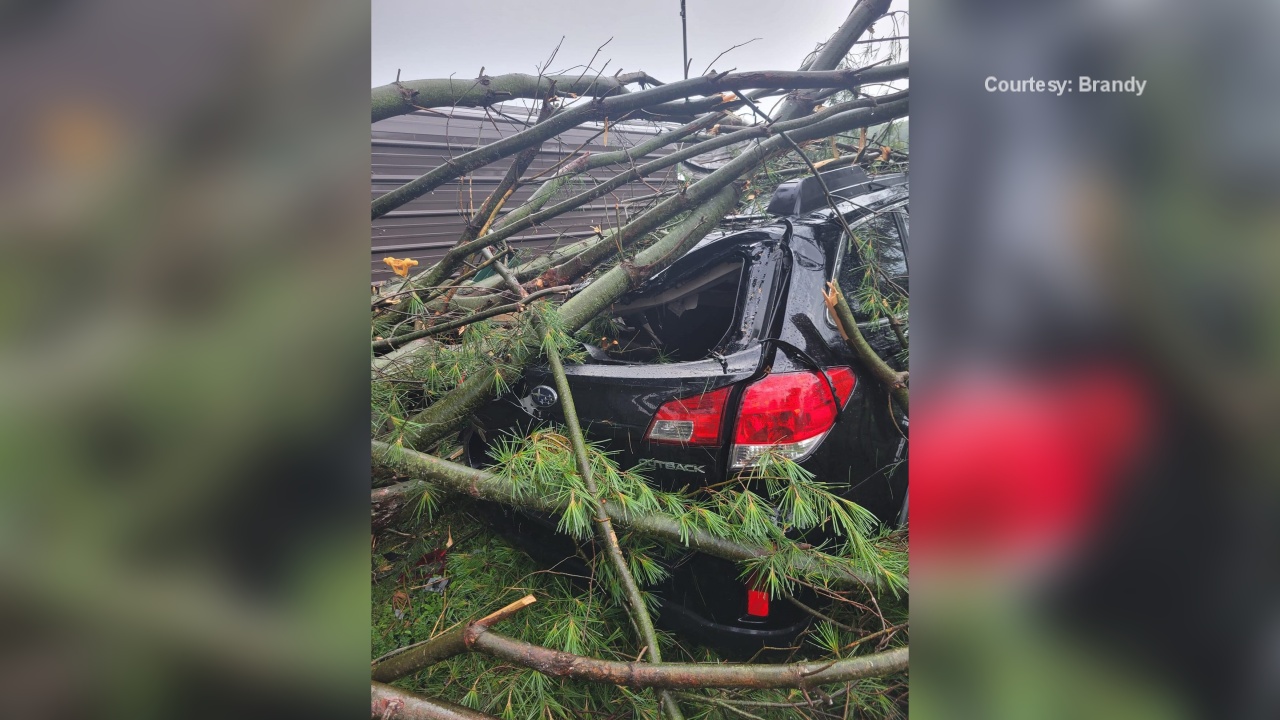 Many Cleaning Up Following Severe Storms Overnight