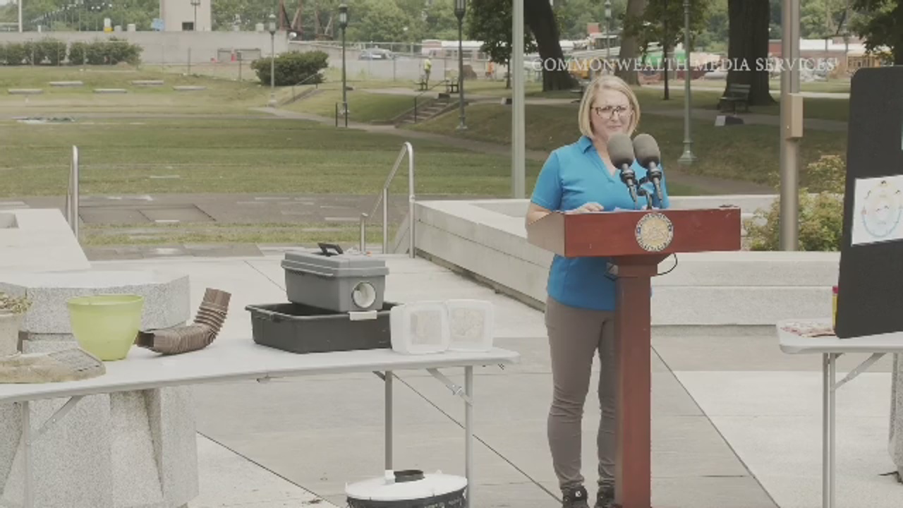 How to Reduce Mosquito Populations and Prevent Bites Ahead of Peak Season