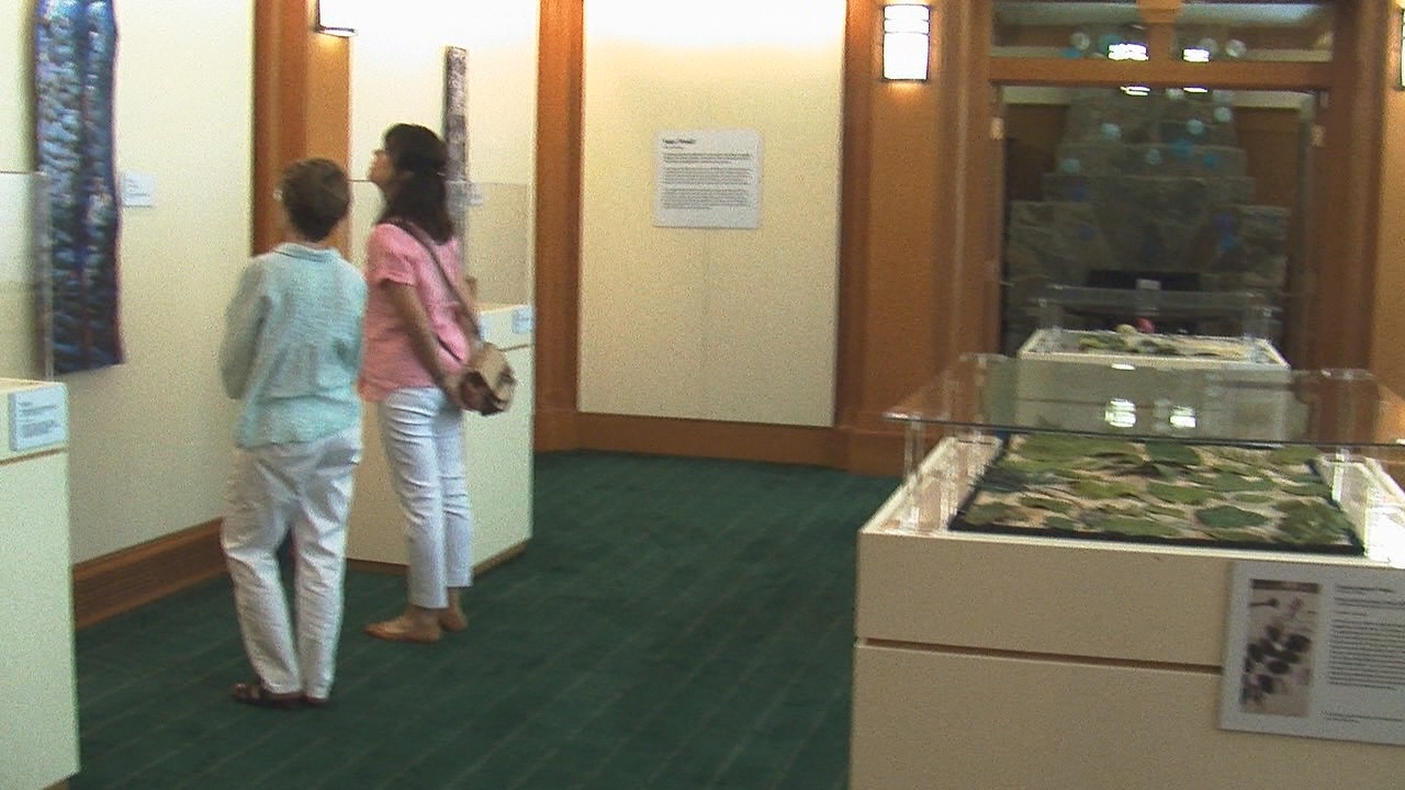 Exhibit For “Art That Matters To The Planet” Unveiled At Roger Tory Peterson Institute