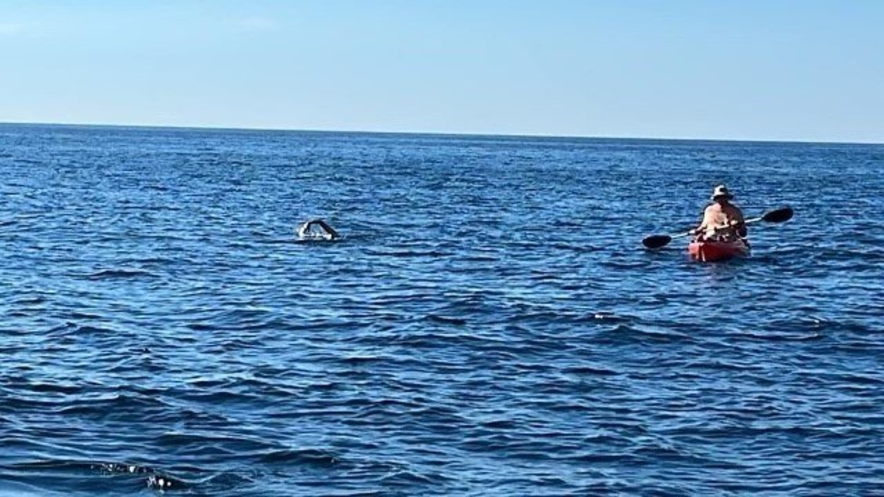 Staying Safe During Marathon Swims