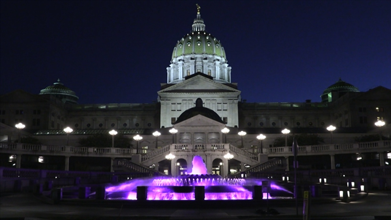 PA House Bill Would Allow Independent Voters To Participate In Primary Elections